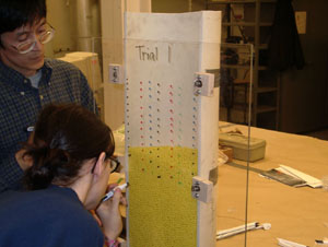 tracking pebble flow