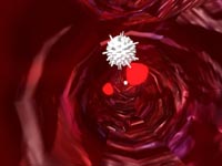 Games-to-Teach Project