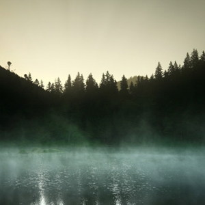 Revealing Water's Secrets